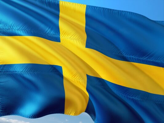 Behöver Sverige en starkare ledare?